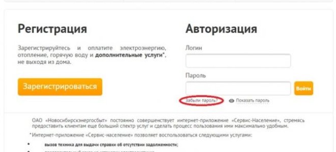 Новосибирскэнергосбыт — вход в личный кабинет