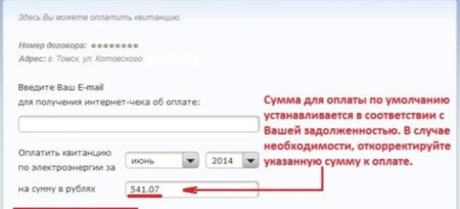 Как оплатить электроэнергию через интернет по лицевому счету