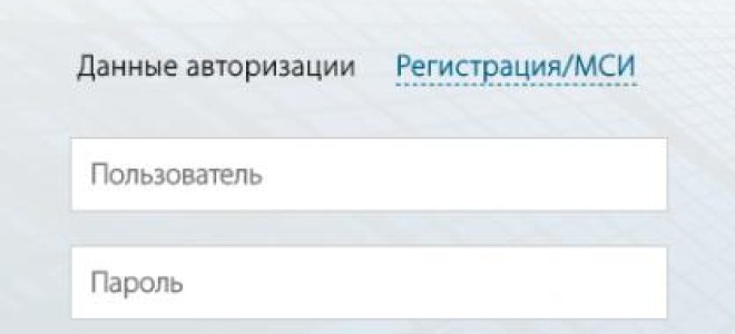 БелВЭБ интернет-банкинг: вход в систему, для физических и фридических лиц, инструкция пользования