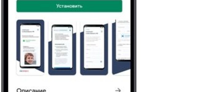 Как оформить пропуск в погранзону через Госуслуги